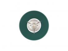 3306-FM PW-GN_A.jpg
